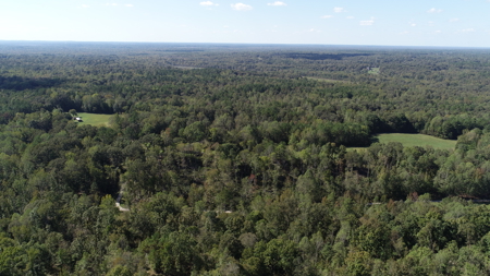 53+ Acres for Sale in Bolivar TN – Pond, Timber & Near Blue Oval - image 4