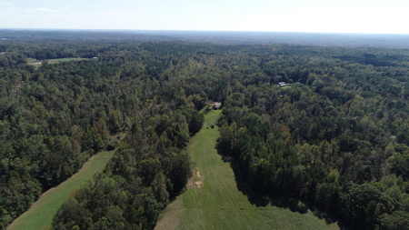 53+ Acres for Sale in Bolivar TN – Pond, Timber & Near Blue Oval - image 3