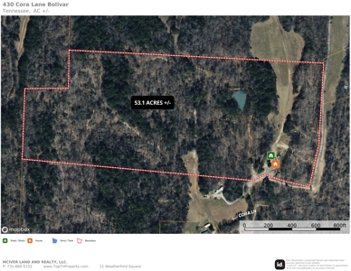 53+ Acres for Sale in Bolivar TN – Pond, Timber & Near Blue Oval - image 27