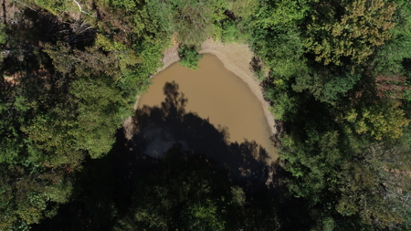 53+ Acres for Sale in Bolivar TN – Pond, Timber & Near Blue Oval - image 11