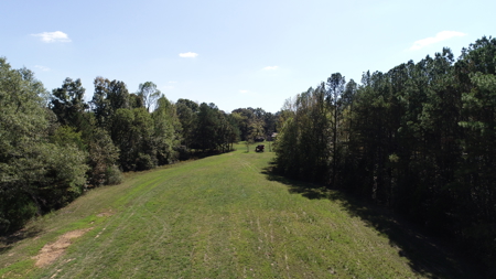 53+ Acres for Sale in Bolivar TN – Pond, Timber & Near Blue Oval - image 7