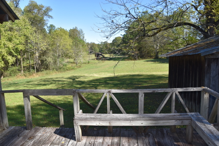 53+ Acres for Sale in Bolivar TN – Pond, Timber & Near Blue Oval - image 22