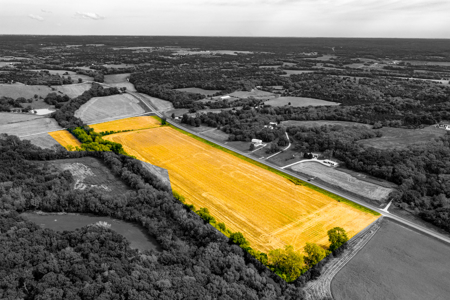 Absolute Online Only Kansas Land Auction - image 10