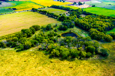 Absolute Online Only Kansas Land Auction - image 31