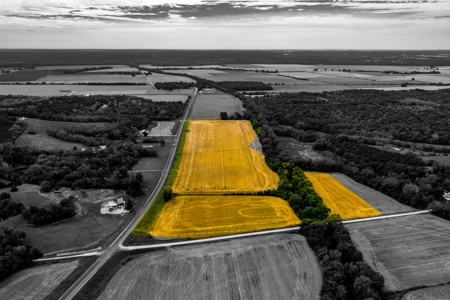 Absolute Online Only Kansas Land Auction - image 7