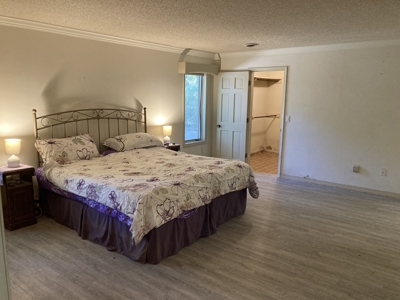 Your Dream Family Home with Pool on Nearly 7 Acres - image 18