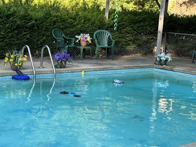 Your Dream Family Home with Pool on Nearly 7 Acres - image 24