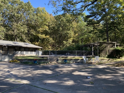 Your Dream Family Home with Pool on Nearly 7 Acres - image 4