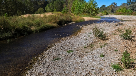 Southern MO Ranch-400 Acres with Spring Creek in Thomasville, MO - image 34