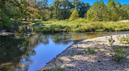 Southern MO Ranch-400 Acres with Spring Creek in Thomasville, MO - image 33