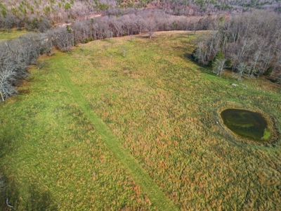 Southern MO Ranch-400 Acres with Spring Creek in Thomasville, MO - image 42