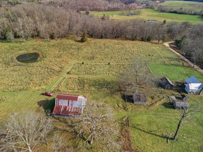 Southern MO Ranch-400 Acres with Spring Creek in Thomasville, MO - image 41