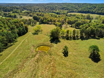 Southern MO Ranch-400 Acres with Spring Creek in Thomasville, MO - image 8