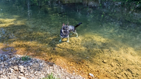 Southern MO Ranch-400 Acres with Spring Creek in Thomasville, MO - image 32