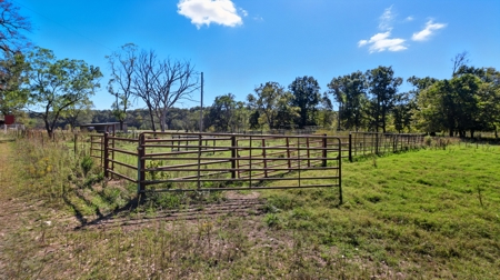 Southern MO Ranch-400 Acres with Spring Creek in Thomasville, MO - image 38