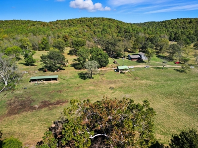 Southern MO Ranch-400 Acres with Spring Creek in Thomasville, MO - image 1