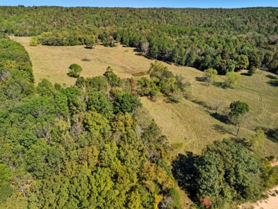 Southern MO Ranch-400 Acres with Spring Creek in Thomasville, MO - image 10