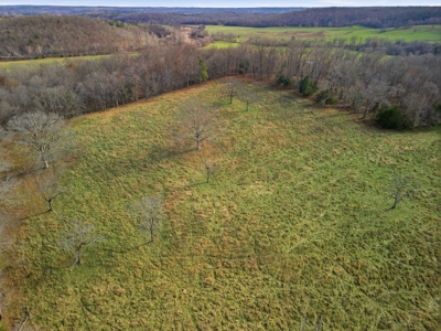 Southern MO Ranch-400 Acres with Spring Creek in Thomasville, MO - image 43