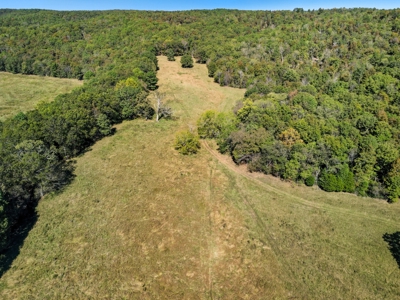 Southern MO Ranch-400 Acres with Spring Creek in Thomasville, MO - image 9