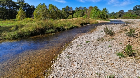 Southern MO Ranch-400 Acres with Spring Creek in Thomasville, MO - image 35
