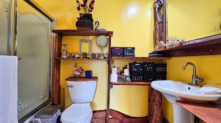 4BR 2BA Hawaii home w/ocean views, gardens, & fruit trees - image 2