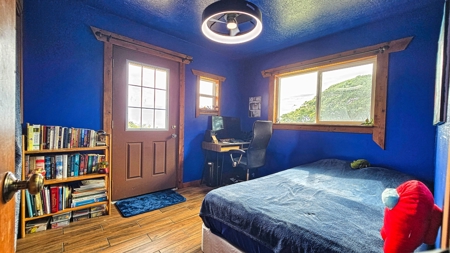 4BR 2BA Hawaii home w/ocean views, gardens, & fruit trees - image 7