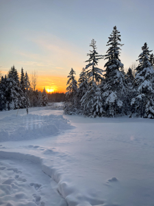 Maine Country Home on 36 Acres of Peace and Privacy - image 39