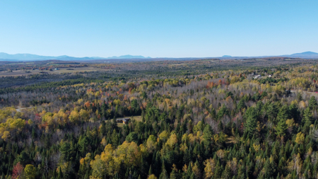 Maine Country Home on 36 Acres of Peace and Privacy - image 4