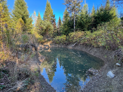 Maine Country Home on 36 Acres of Peace and Privacy - image 38