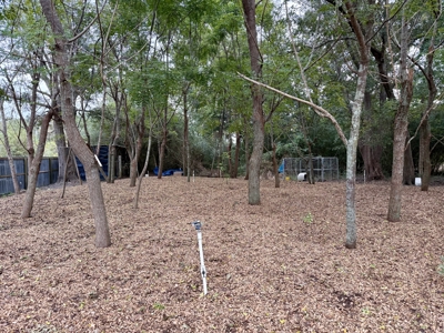 2-Story Brick home for sale with 5B/2B in Slocomb, AL - image 33