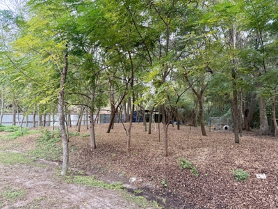 2-Story Brick home for sale with 5B/2B in Slocomb, AL - image 32