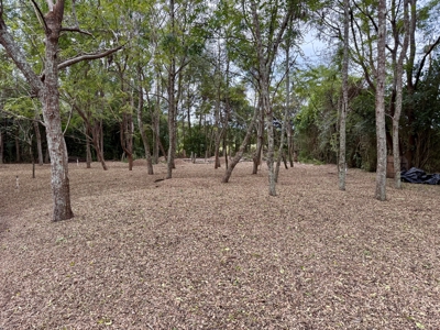 2-Story Brick home for sale with 5B/2B in Slocomb, AL - image 9