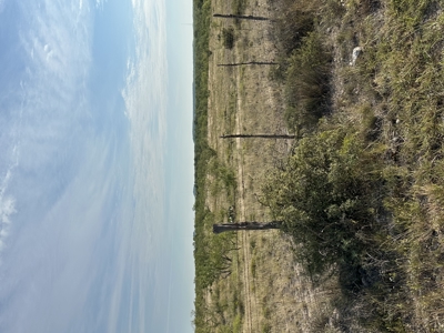 Land For Sale San Angelo Texas Tom Green County Ranches Property - image 4