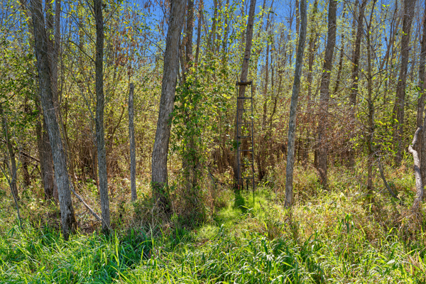 Buffalo County Riverfront Hunting Land for Sale