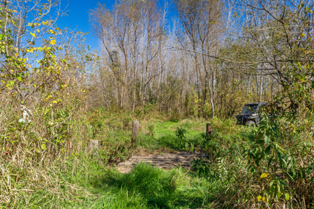 Buffalo County Riverfront Hunting Land for Sale - image 10