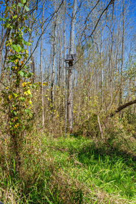 Buffalo County Riverfront Hunting Land for Sale