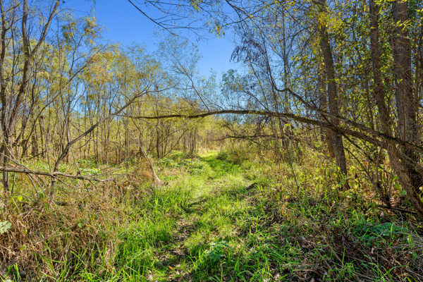 Buffalo County Riverfront Hunting Land for Sale