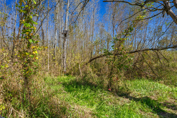 Buffalo County Riverfront Hunting Land for Sale