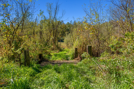Buffalo County Riverfront Hunting Land for Sale - image 13