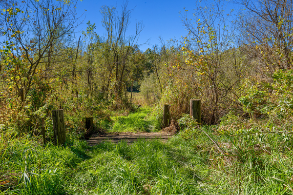 Buffalo County Riverfront Hunting Land for Sale