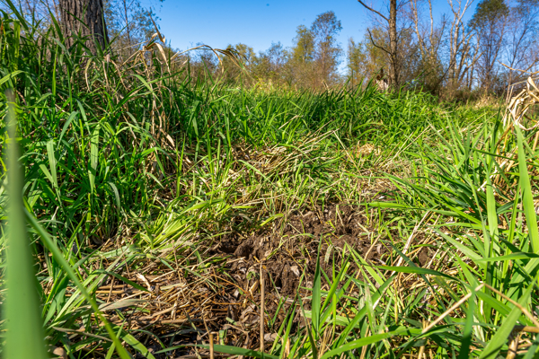 Buffalo County Riverfront Hunting Land for Sale