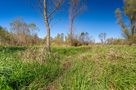 Buffalo County Riverfront Hunting Land for Sale - image 2