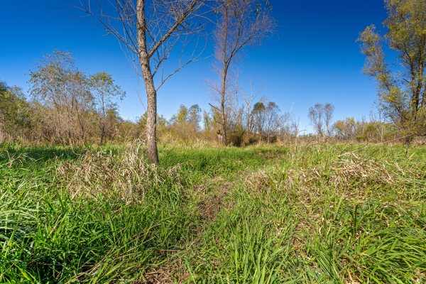 Buffalo County Riverfront Hunting Land for Sale