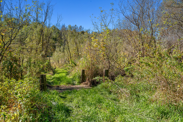Buffalo County Riverfront Hunting Land for Sale