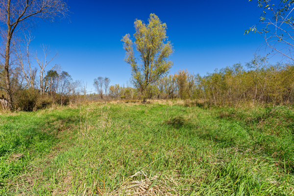 Buffalo County Riverfront Hunting Land for Sale
