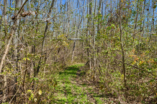 Buffalo County Riverfront Hunting Land for Sale