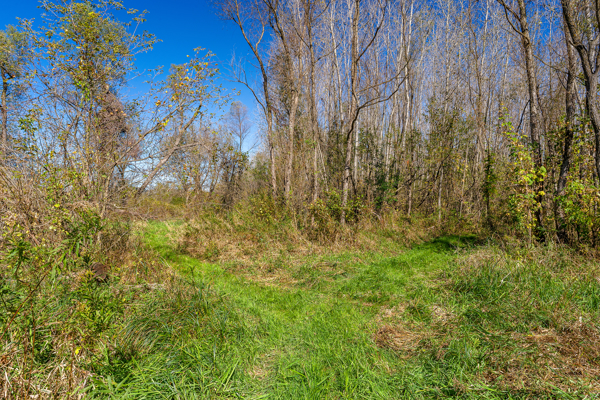 Buffalo County Riverfront Hunting Land for Sale