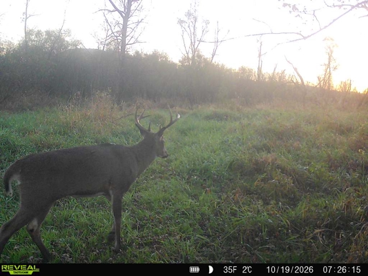 Buffalo County Riverfront Hunting Land for Sale