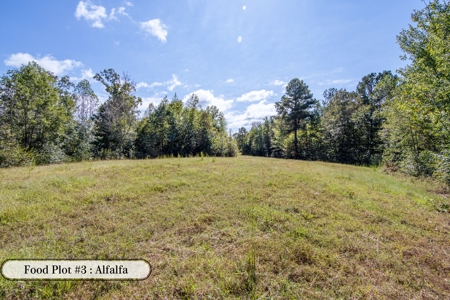 Hunting & Recreation Estate on 90+ Acres in Benton County, TN - image 2