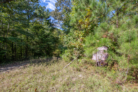 Hunting & Recreation Estate on 90+ Acres in Benton County, TN - image 17